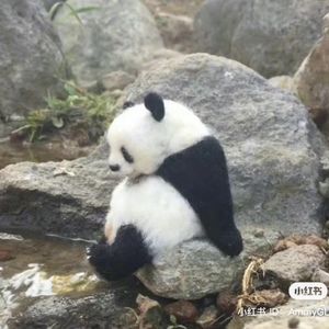 Meet your Posher, Katrin